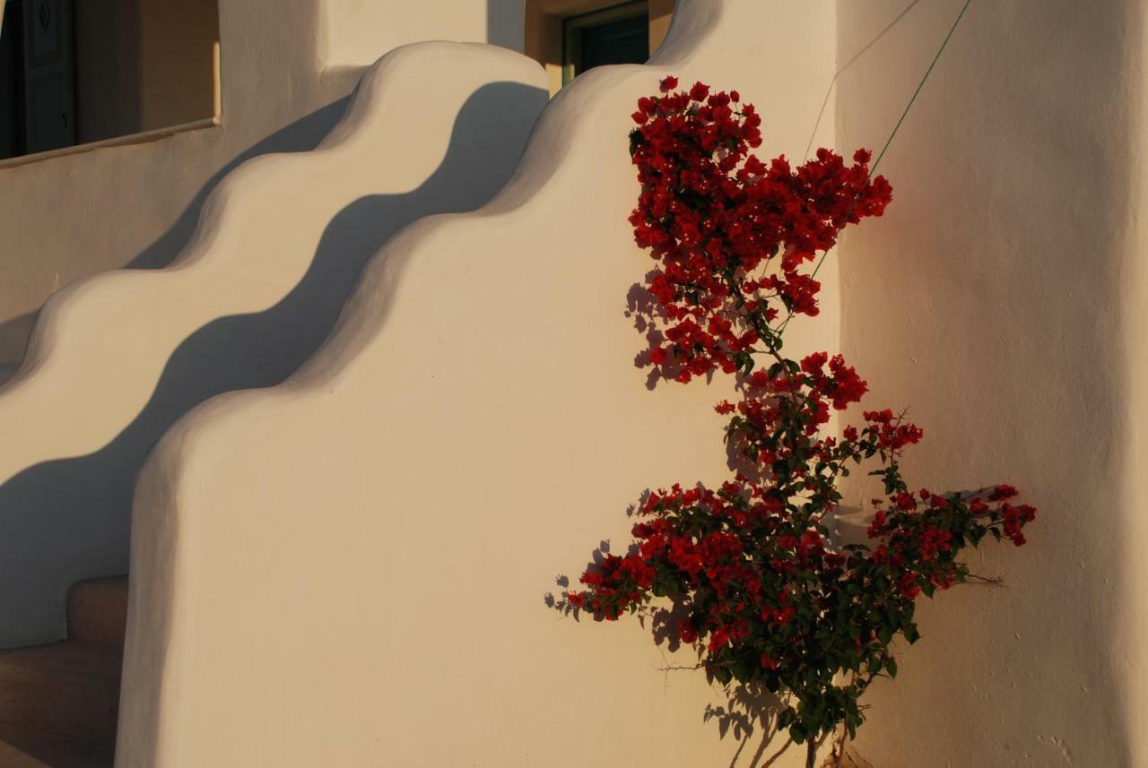 Villa Kampos Naousa-Marpisa 安倍拉斯 外观 照片